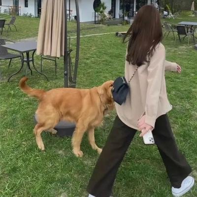 伪恋第二季